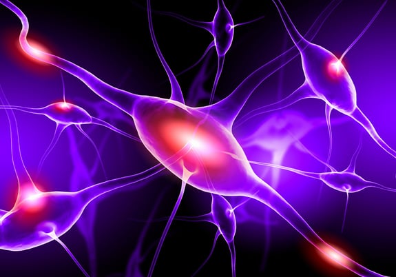 Status Epilepticus: Symptome, Ursachen & Behandlung